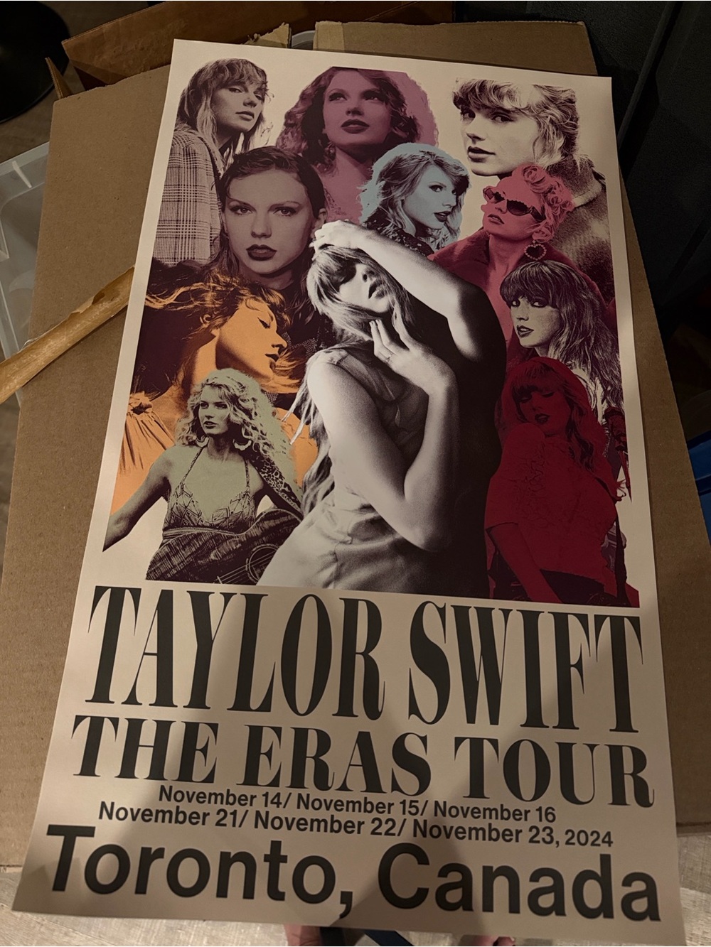 Poster of Taylor Swift - Not a Clothing Item